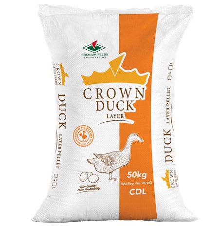 Crown Duck Layer