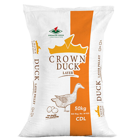 Crown Duck Layer