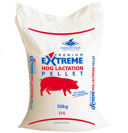 Extreme Hog Lactation