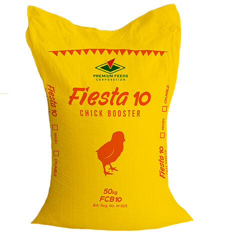 Fiesta Chick Booster