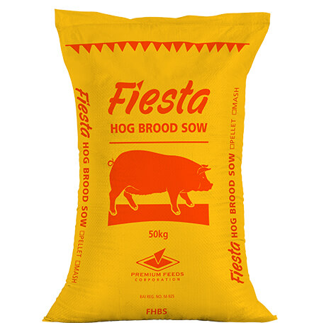 Fiesta Hog Brood Sow