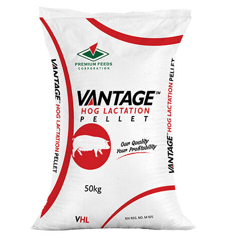 Vantage Hog Lactation