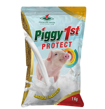 Piggy1st Protect -1KG